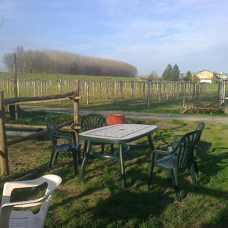 Agriturismo Antica Golena Guastalla Eksteriør bilde